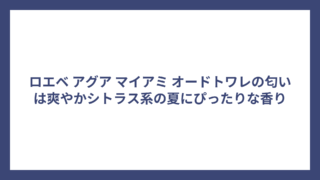ロエベ アグア マイアミ オードトワレの匂いは爽やかシトラス系の夏にぴったりな香り