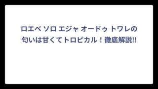 ロエベ ソロ エジャ オードゥ トワレの匂いは甘くてトロピカル！徹底解説‼️