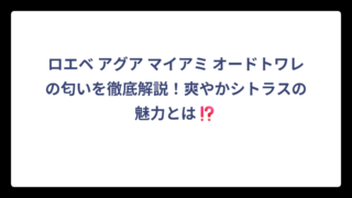 ロエベ アグア マイアミ オードトワレの匂いを徹底解説！爽やかシトラスの魅力とは⁉️