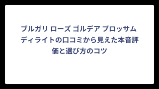 ブルガリ ローズ ゴルデア ブロッサム ディライトの口コミから見えた本音評価と選び方のコツ