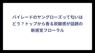 バイレードのヤングローズって匂いはどう？トップから香る炭酸感が話題の新感覚フローラル